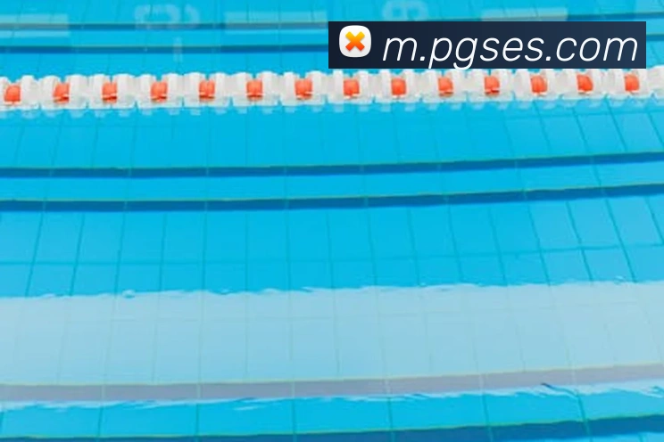 pgAPP 封面图